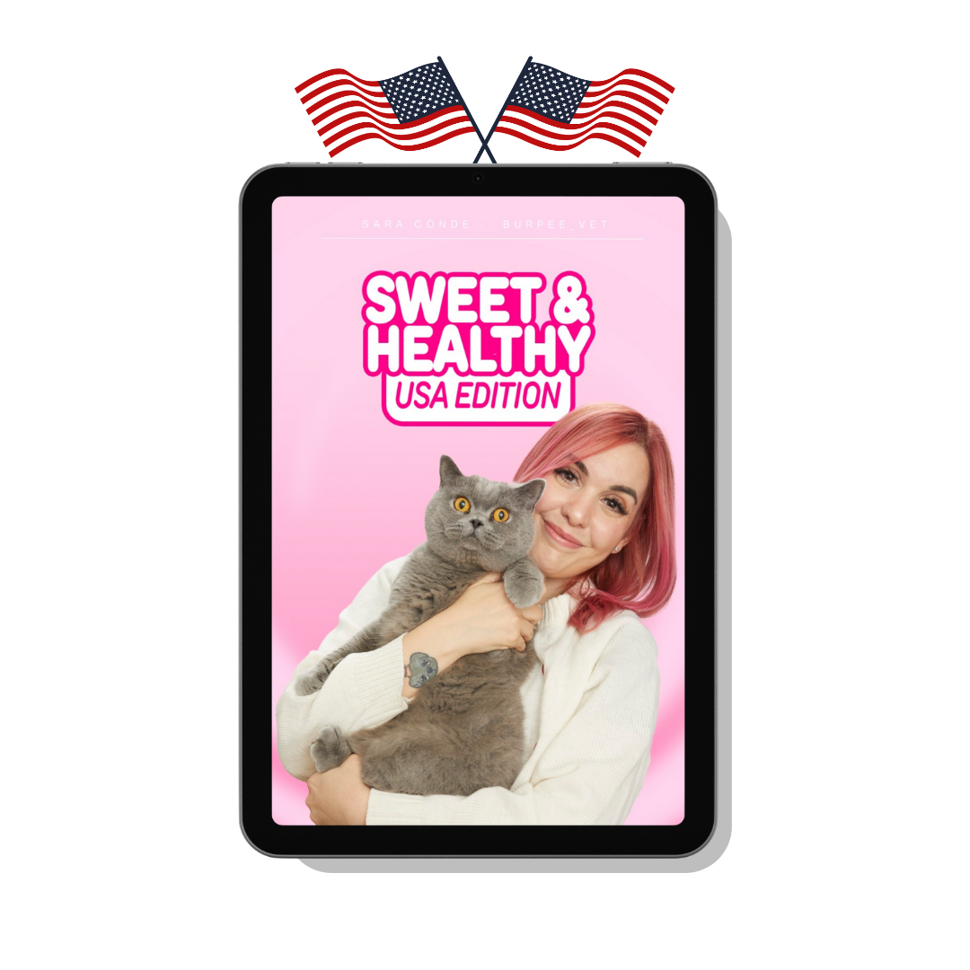 Ebook Sweet & Healthy Versión USA