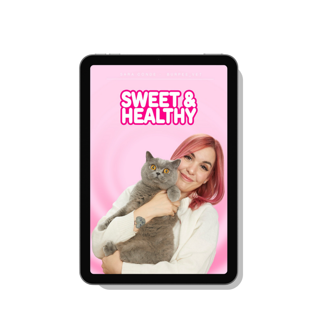 Ebook Sweet & Healthy